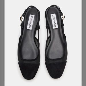 Steve Madden Belinda Black Suede Mesh Slingback